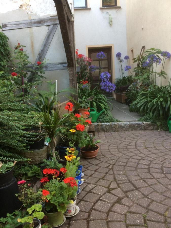 Otterbau Daire Belgern-Schildau Dış mekan fotoğraf