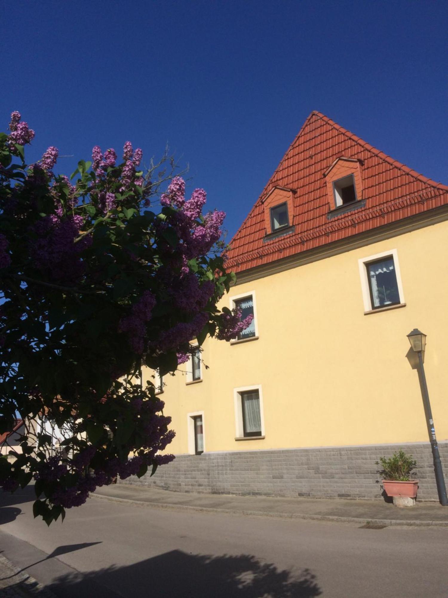 Otterbau Daire Belgern-Schildau Dış mekan fotoğraf